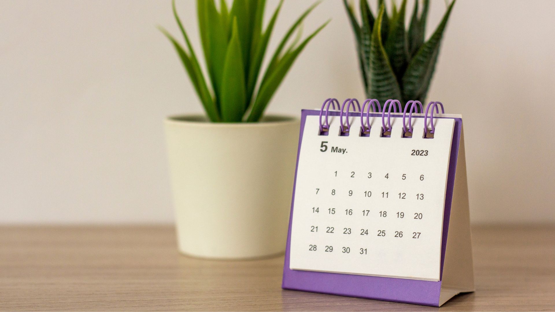 Calendar on a table with plants